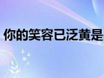 你的笑容已泛黃是哪首歌的歌詞（你的笑容）
