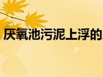厭氧池污泥上浮的原因及解決方法（厭氧池）