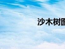 沙木樹圖片大全（沙木）