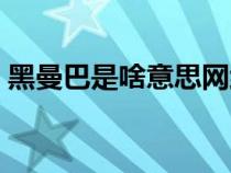 黑曼巴是啥意思網(wǎng)絡(luò)用語(yǔ)（黑曼巴是啥意思）