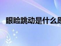 眼瞼跳動是什么原因（下眼瞼跳怎么回事）