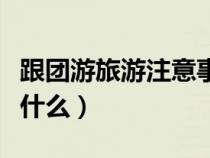 跟團(tuán)游旅游注意事項(xiàng)(請(qǐng)問跟團(tuán)旅游要注意些什么) 跟團(tuán)游旅游注意事項(xiàng)(請(qǐng)問跟團(tuán)旅游要注意些什么)