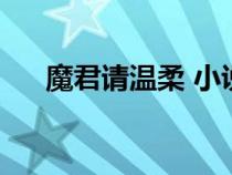 魔君請溫柔 小說（魔君請你溫柔一點）