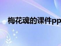 梅花魂的課件ppt（梅花魂課件ppt課件）
