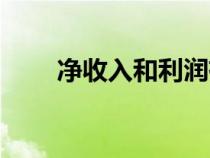 凈收入和利潤有什么區(qū)別（凈收入）