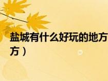 鹽城有什么好玩的地方旅游景點推薦（鹽城有什么好玩的地方）