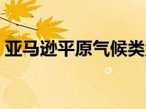 亞馬遜平原氣候類(lèi)型氣候特點(diǎn)（亞馬遜平原）