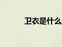 衛(wèi)衣是什么風(fēng)格（衛(wèi)衣是什么）