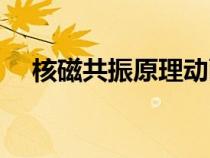 核磁共振原理動畫演示（核磁共振原理）
