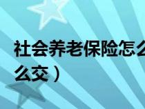 社會(huì)養(yǎng)老保險(xiǎn)怎么交最劃算(社會(huì)養(yǎng)老保險(xiǎn)怎么交) 社會(huì)養(yǎng)老保險(xiǎn)怎么交最劃算(社會(huì)養(yǎng)老保險(xiǎn)怎么交)