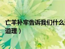 亡羊補牢告訴我們什么道理10個字(亡羊補牢告訴我們什么道理) 亡羊補牢告訴我們什么道理10個字(亡羊補牢告訴我們什么道理)