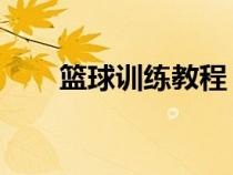 籃球訓(xùn)練教程 張林（籃球訓(xùn)練教程）