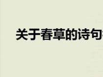 關(guān)于春草的詩句初中(關(guān)于春草的詩句) 關(guān)于春草的詩句初中(關(guān)于春草的詩句)