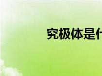 究極體是什么意思（究極體）