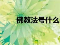 佛教法號什么意思（佛家法號大全）