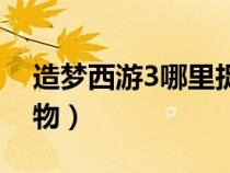 造夢西游3哪里捉寵物（造夢西游3哪里抓寵物）