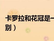 卡羅拉和花冠是一個車嗎（花冠和卡羅拉的區(qū)別）