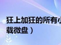 狂上加狂的所有小說txt微盤（噬天狂顏txt下載微盤）