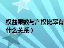 權(quán)益乘數(shù)與產(chǎn)權(quán)比率有什么關(guān)系嗎（權(quán)益乘數(shù)與產(chǎn)權(quán)比率有什么關(guān)系）