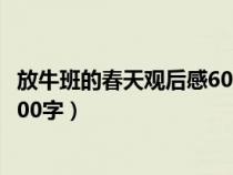 放牛班的春天觀后感600字左右高中（放牛班的春天觀后感600字）