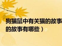 狗貓鼠中有關貓的故事有哪些請加以概括（狗貓鼠中有關貓的故事有哪些）
