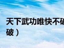 天下武功唯快不破電影名字（天下武功唯快不破）