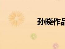 孫曉作品展（孫曉作品）