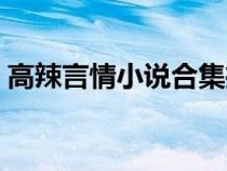 高辣言情小說合集推薦（高辣言情小說合集）