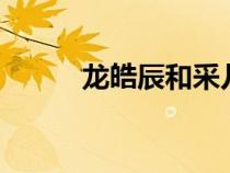 龍皓辰和采兒（采兒被龍皓晨h）