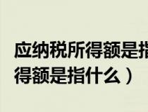 應(yīng)納稅所得額是指什么利潤總額嗎(應(yīng)納稅所得額是指什么) 應(yīng)納稅所得額是指什么利潤總額嗎(應(yīng)納稅所得額是指什么)