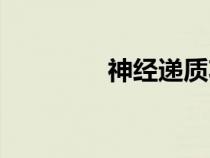 神經(jīng)遞質(zhì)功能（神經(jīng)遞質(zhì)）