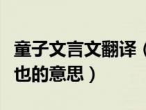 童子文言文翻譯（童子茍有志吾徒相教不求資也的意思）