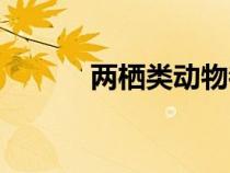 兩棲類動物都有哪些（兩棲類）