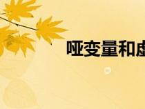 啞變量和虛擬變量（啞變量）