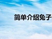 簡單介紹兔子的特點(diǎn)（兔子的特點(diǎn)）