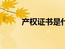 產(chǎn)權(quán)證書是什么意思(產(chǎn)權(quán)證書) 產(chǎn)權(quán)證書是什么意思(產(chǎn)權(quán)證書)
