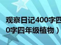觀察日記400字四年級植物綠蘿（觀察日記400字四年級植物）