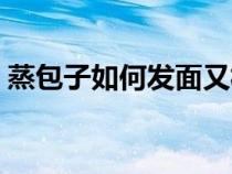 蒸包子如何發(fā)面又松又軟(蒸包子如何發(fā)面) 蒸包子如何發(fā)面又松又軟(蒸包子如何發(fā)面)