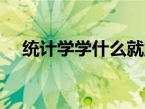 統(tǒng)計(jì)學(xué)學(xué)什么就業(yè)方向(統(tǒng)計(jì)學(xué)學(xué)什么) 統(tǒng)計(jì)學(xué)學(xué)什么就業(yè)方向(統(tǒng)計(jì)學(xué)學(xué)什么)