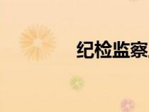 紀(jì)檢監(jiān)察工作職責(zé)（紀(jì)檢）