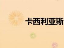 卡西利亞斯圖片（卡西利亞斯）