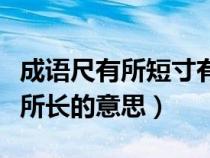 成語尺有所短寸有所長的意思（尺有所短寸有所長的意思）