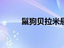 鬣狗貝拉米懸賞金（鬣狗貝拉米）