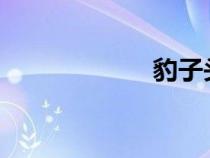 豹子頭誤入白虎堂 豹子頭誤入白虎堂
