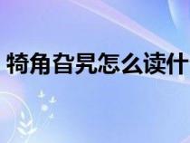犄角旮旯怎么讀什么意思（犄角旮旯怎么讀）