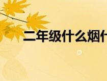 二年級什么煙什么云（什么煙什么云）
