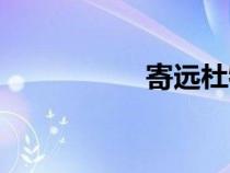 寄遠(yuǎn)杜牧翻譯（寄遠(yuǎn)）