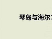 琴島與海爾1991（琴島與海爾）