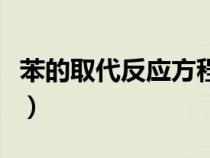 苯的取代反應(yīng)方程（苯的取代反應(yīng)和加成反應(yīng)）