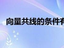 向量共線的條件有哪些（向量共線的條件）